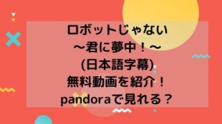 ロボットじゃない～君に夢中！～(日本語字幕)無料動画を紹介！pandoraで見れる？