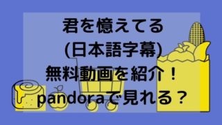 君を憶えてる(日本語字幕)無料動画を紹介！pandoraで見れる？