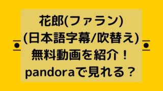 花郎(ファラン)(日本語字幕/吹替え)無料動画を紹介！pandoraで見れる？