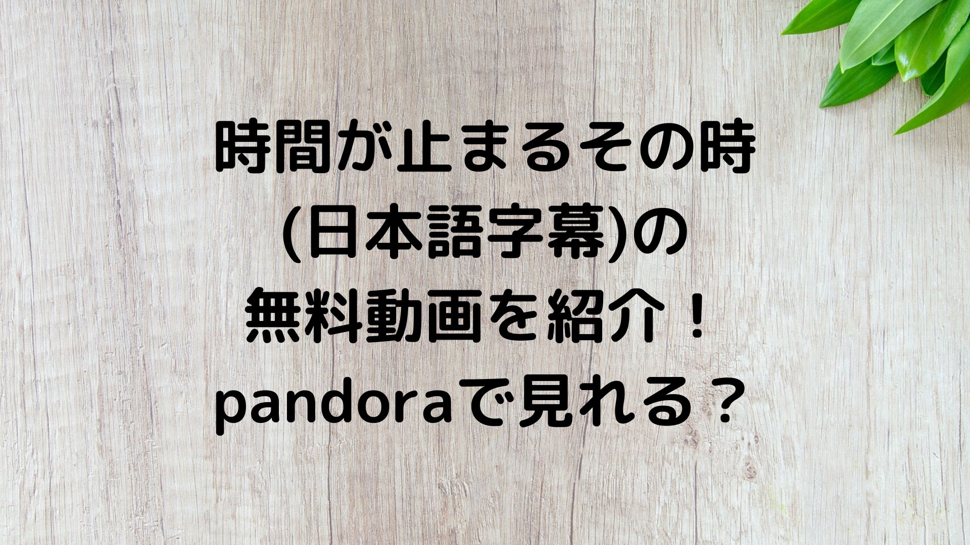 時間が止まるその時 日本語字幕 の無料動画を紹介 Pandoraで見れる ドラマ無料動画 Cm曲名まとめ