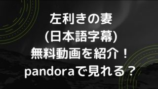 左利きの妻(日本語字幕)無料動画を紹介！pandoraで見れる？